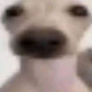 Meet your Posher, Flowergirl